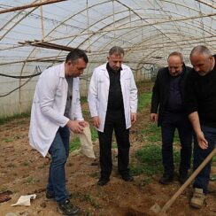 Büyükşehir'den örtü altı üreticiye destek