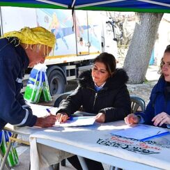 İzmir'de zeytinde hastalık bitti verim arttı