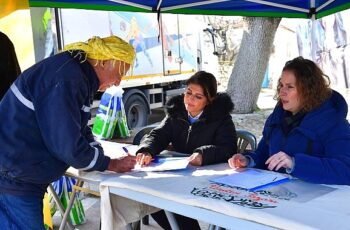 İzmir'de zeytinde hastalık bitti verim arttı