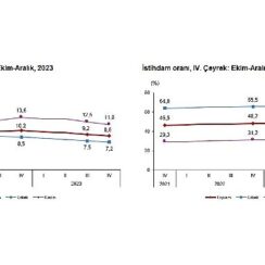 TÜİK: Mevsim etkisinden arındırılmış işsizlik oranı %8,8 seviyesinde gerçekleşti