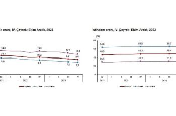 TÜİK: Mevsim etkisinden arındırılmış işsizlik oranı %8,8 seviyesinde gerçekleşti