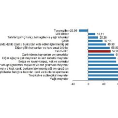 TÜİK: Tarım ürünleri üretici fiyat endeksi (Tarım-ÜFE) yıllık %57,85, aylık %3,85 arttı