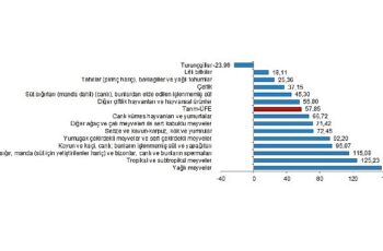 TÜİK: Tarım ürünleri üretici fiyat endeksi (Tarım-ÜFE) yıllık %57,85, aylık %3,85 arttı