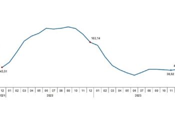 TÜİK: Tarımsal girdi fiyat endeksi (Tarım-GFE) yıllık %41,43, aylık %2,62 arttı