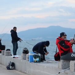 Balık Avı Tutkunları Aliağa'da Yarıştı