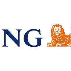 ING Türkiye ve Habitat Derneği'nin “İş Hayatına Turuncu Destek Projesi" başvuruları başladı