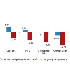 TÜİK: Aylık en yüksek reel getiri BIST 100 endeksinde oldu