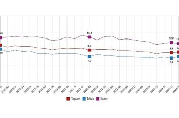 TÜİK: Mevsim etkisinden arındırılmış işsizlik oranı %9,1 seviyesinde gerçekleşti