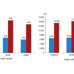 TÜİK: Mevsimlik tarım işçilerinin ortalama günlük ücretleri 2023 yılında %114,6 arttı