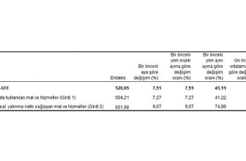 Tüik: Tarımsal girdi fiyat endeksi (Tarım-GFE) yıllık %45,11, aylık %7,51 arttı