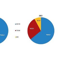 Tüik: Yaşlı nüfus 8 milyon 722 bin 806 kişi oldu