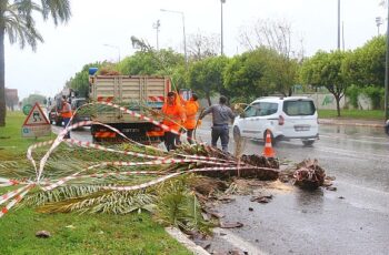 Antalya Büyükşehir'de 1200 personel fırtınada hazır bekledi