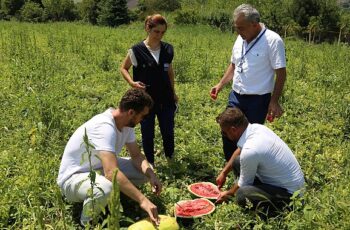 Büyükşehir'in karpuz tohumu üreticilere teslim ediliyor