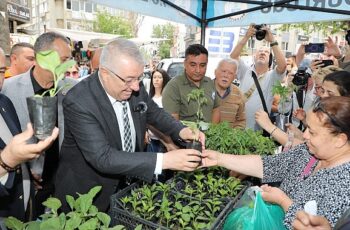 Edremit Belediyesi ata tohumunu destekliyor