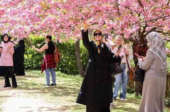 İstanbul Baltalimanı'ndaki Japon Bahçesi ziyaretçilerini hayran bırakıyor