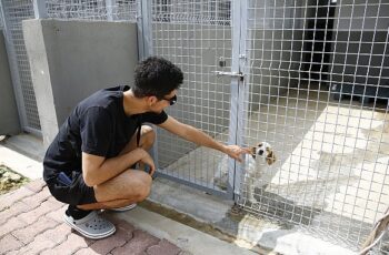 Sokak hayvanlarının en özel günü