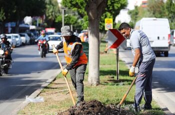 Antalya’da 2 milyon yazlık  çiçek toprakla buluşuyor