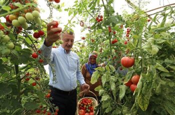 Başkan Büyükakın’dan kadın üreticiye tam destek