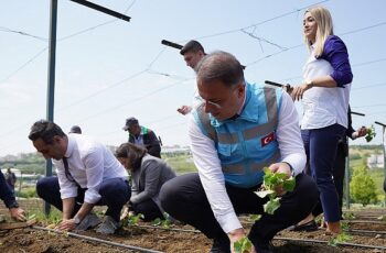 Beylikdüzü Belediyesi tarafından hayata geçirilen ve kent tarımına büyük katkı sunan Yaşam Bahçesi’nde yaz mevsiminin ilk fideleri dikildi