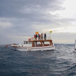 Çeşme’de TYF Kamil Yıldırım Optimist Trofesi Yelken Yarışladı Başladı