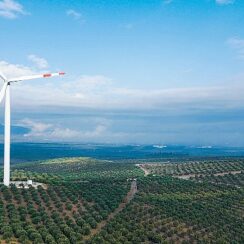 Enerjisa Üretim Rüzgar Günü Zirvesi / Enerjinin geleceği yenilenebilir enerjide