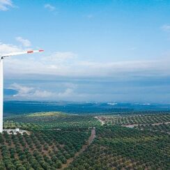 Enerjisa Üretim, Rüzgar Günü Zirvesi ile yenilenebilir enerjinin geleceğimizdeki önemine dikkat çekiyor