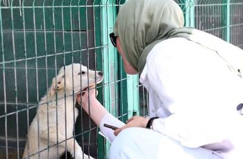 Hayvan Dostu Öğrencilerden Barınağa Ziyaret