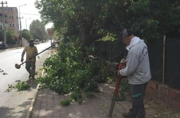 Kemer Belediyesi’nden yeşil alanlarda bakım çalışmaları