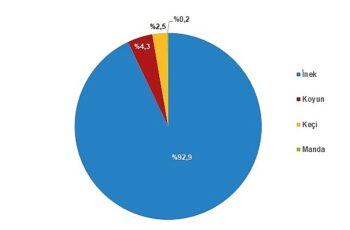 Tüik: Çiğ süt üretimi 2023 yılında %0,4 azalarak 21 milyon 481 bin 567 ton oldu