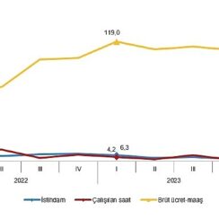 Tüik: İstihdam endeksi yıllık %3,4 arttı