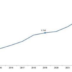 Tüik: Kırmızı et üretimi 2023 yılında %8,8 artarak 2 milyon 384 bin 47 ton oldu