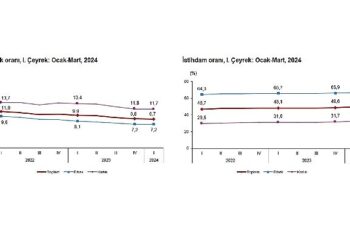 Tüik: Mevsim etkisinden arındırılmış işsizlik oranı %8,7 seviyesinde gerçekleşti