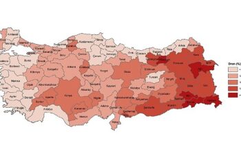 Tüik: Türkiye nüfusunun %15,1’ini genç nüfus oluşturdu