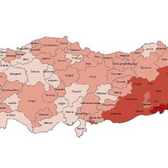 Tüik:  Yükseköğretim mezunlarının oranı 25 yaş ve üzeri nüfusta %24,6 oldu