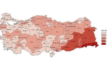 Tüik:  Yükseköğretim mezunlarının oranı 25 yaş ve üzeri nüfusta %24,6 oldu