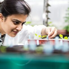 ‘Uluslararası Bilim Ortaklıkları Fonu’ndan yeni araştırma iş birlikleri için 80 bin Sterlin destek