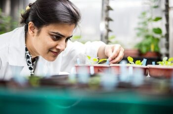 ‘Uluslararası Bilim Ortaklıkları Fonu’ndan yeni araştırma iş birlikleri için 80 bin Sterlin destek