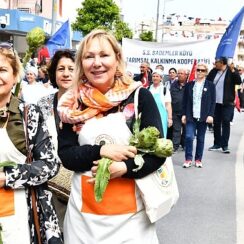 Urla Enginar Festivali için geri sayım başladı