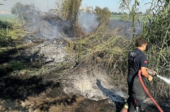 Aydın Büyükşehir Belediyesi İtfaiye Daire Başkanlığı ekipleri hızlı bir şekilde müdahale ederek kontrol altına aldı