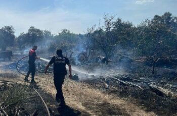 Aydın Büyükşehir Belediyesi İtfaiyesi, bugün öğle saatlerinde Efeler’in Umurlu Mahallesi’nde çıkan arazi yangınına kısa sürede müdahale ederek bir facianın önüne geçti