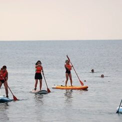 Büyükşehir Belediyesi’nden Kano-Sup sporları için doğa dostu alan kullanımı toplantısı