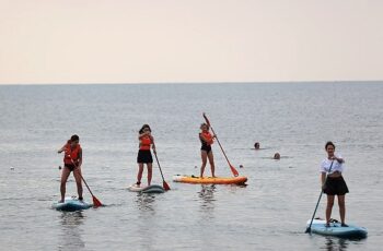 Büyükşehir Belediyesi’nden Kano-Sup sporları için doğa dostu alan kullanımı toplantısı