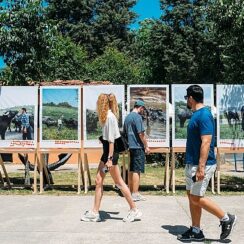 CLIMAVORE x Jameel at Royal College of Art, İstanbul’un Sulak Alanlarının Geleceği için Manda Festivali’ni Düzenledi