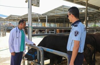 Karşıyaka’nın kurban pazarında hazırlıklar tamam