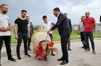 Nevşehir Belediye Başkanı Rasim Arı, Kurban Bayramı’nda ihtiyaç sahibi ailelere kurban eti dağıtımı için başlatılan kampanyaya destek veren tüm hayırseverlere teşekkür etti