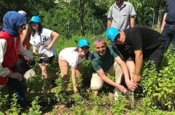 Özel çocuklarımız sebze ve aromatik bitki yetiştiriyor