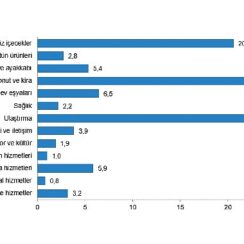 Tüik: Hanehalkı bütçesinden en fazla pay konut ve kira harcamalarına ayrıldı