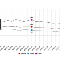 Tüik: Mevsim etkisinden arındırılmış işsizlik oranı %8,5 seviyesinde gerçekleşti