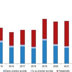 Tüik: Su ürünleri üretimi 2023 yılında %18,6 arttı