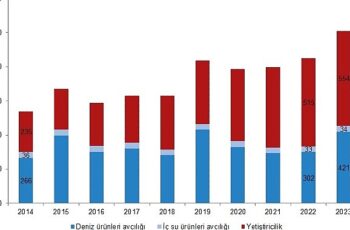 Tüik: Su ürünleri üretimi 2023 yılında %18,6 arttı